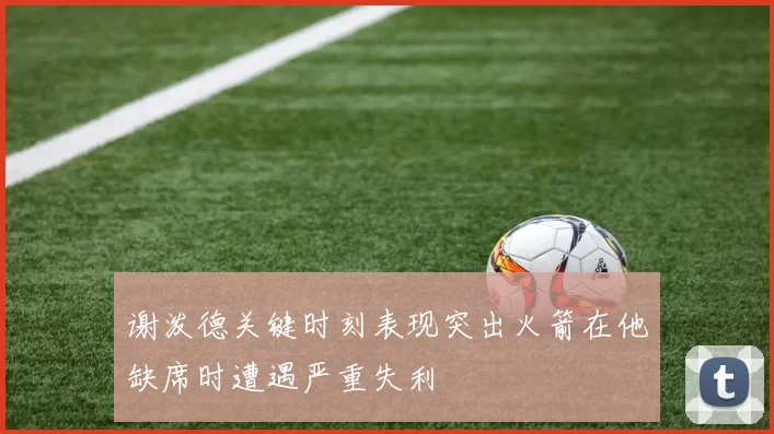 谢泼德关键时刻表现突出火箭在他缺席时遭遇严重失利