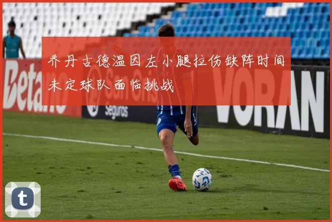 乔丹古德温因左小腿拉伤缺阵时间未定球队面临挑战